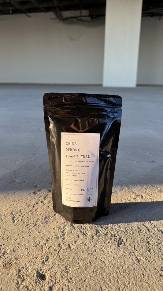 GLITCH - DEHONG YUAN YI YUAN