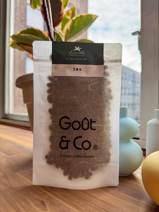 GOÛT & CO - LA ESMERALDA EL VELO GEISHA WASHED