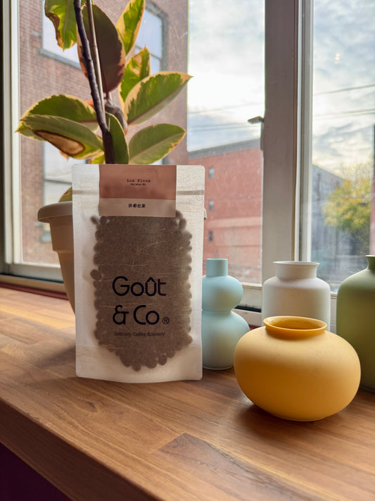 GOÛT & CO - LOS PINOS GEISHA WASHED