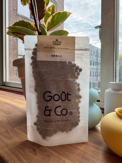 GOÛT & CO - ADNAN HAMASHO 74110 & 74158 NATURAL