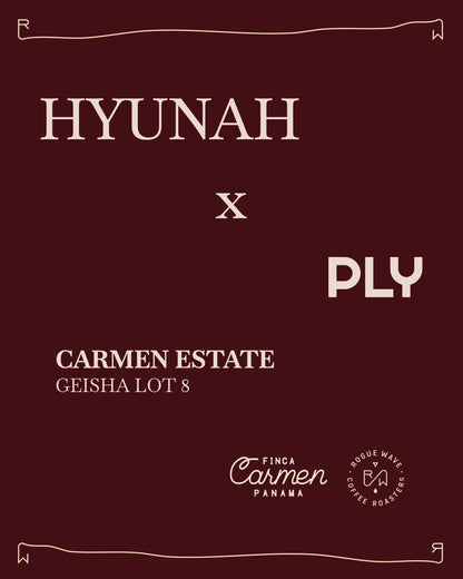 HYUNAH x PLY - CARMEN ESTATE