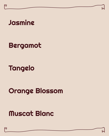 HYUNAH x PLY - CARMEN ESTATE