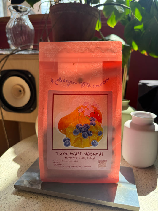 HYDRANGEA - LAYO