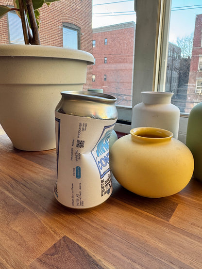 PEOPLE POSSESSION - IRIDESCENCE