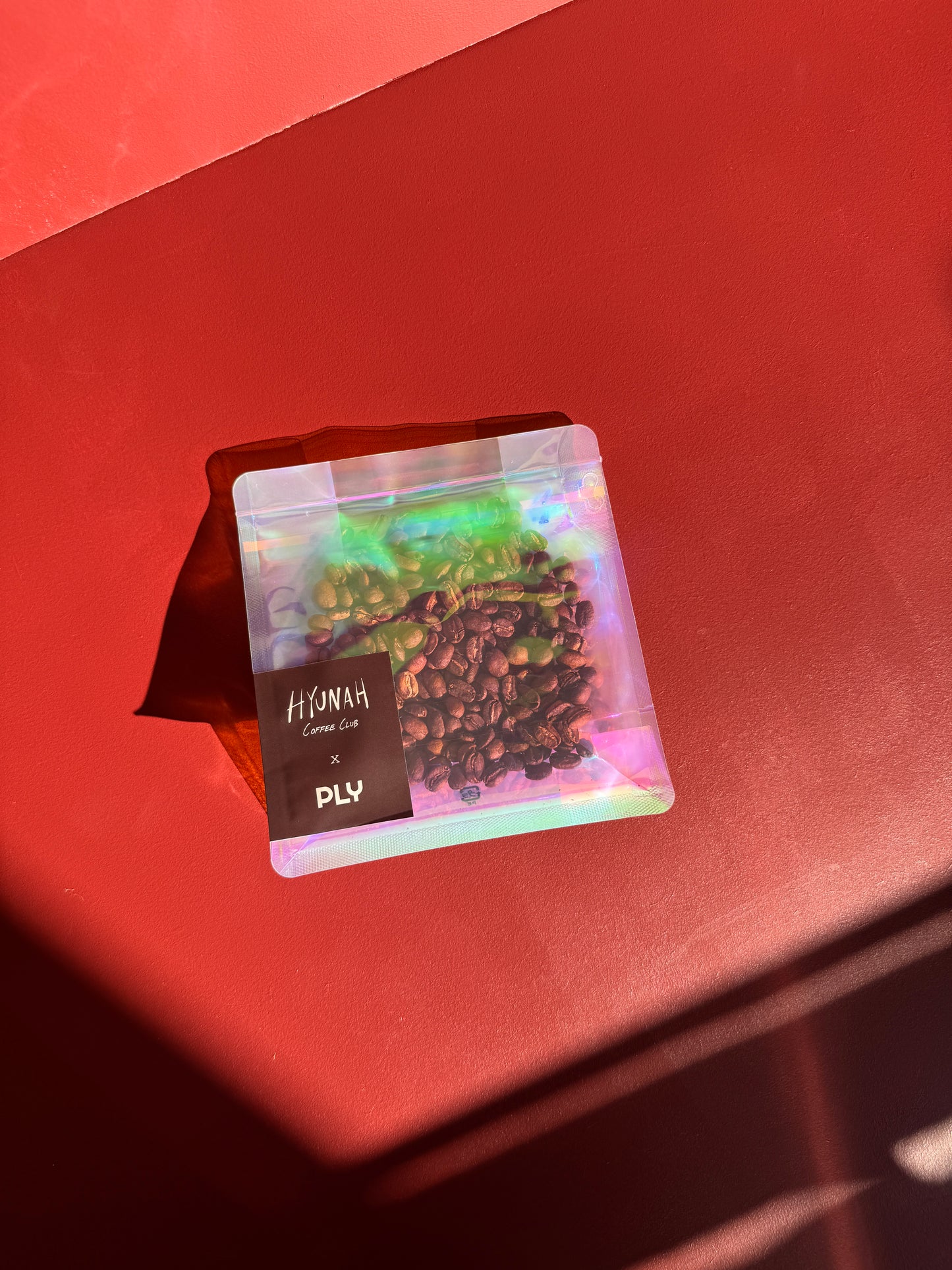 HYUNAH x PLY - CARMEN ESTATE