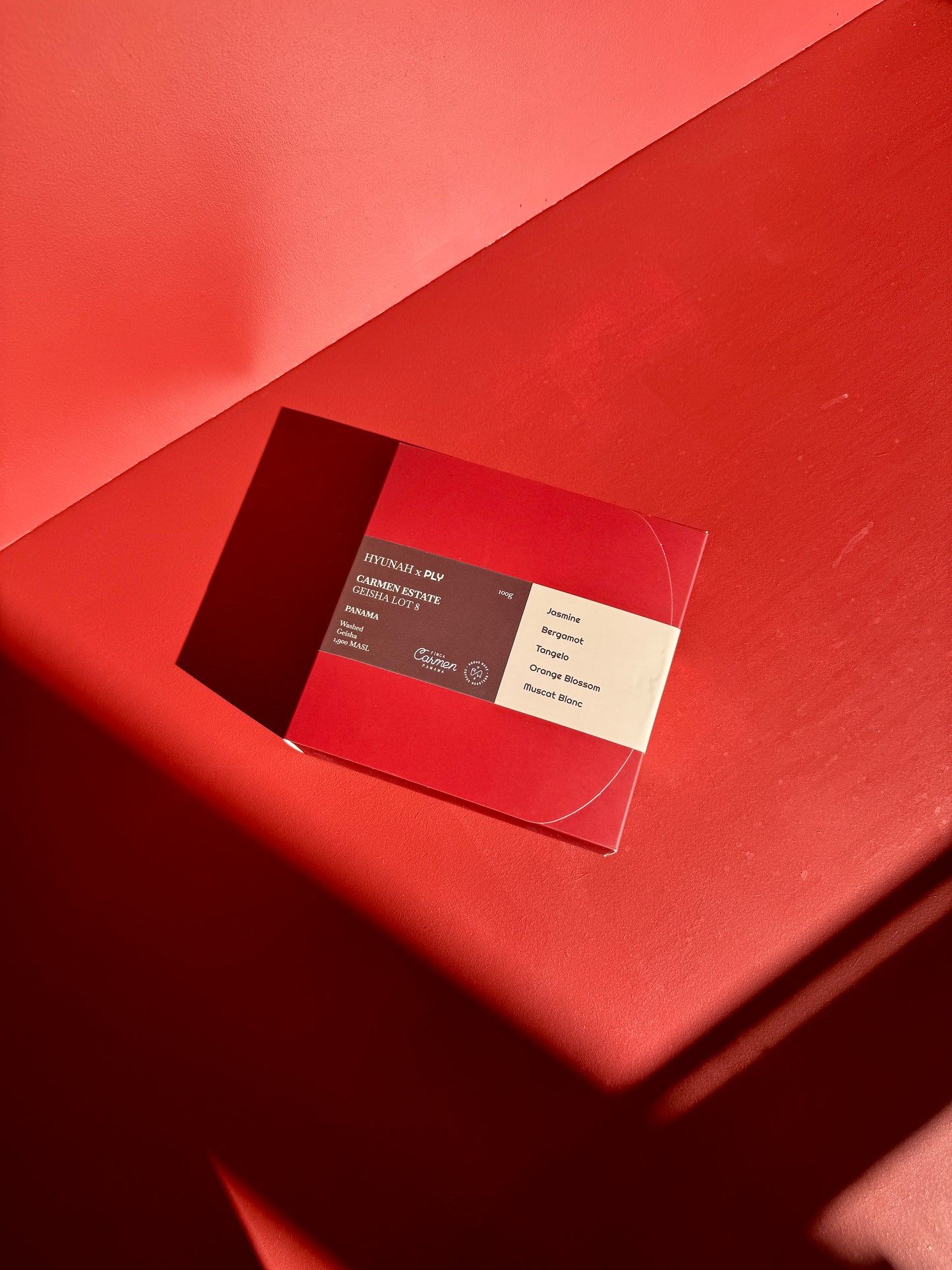 HYUNAH x PLY - CARMEN ESTATE