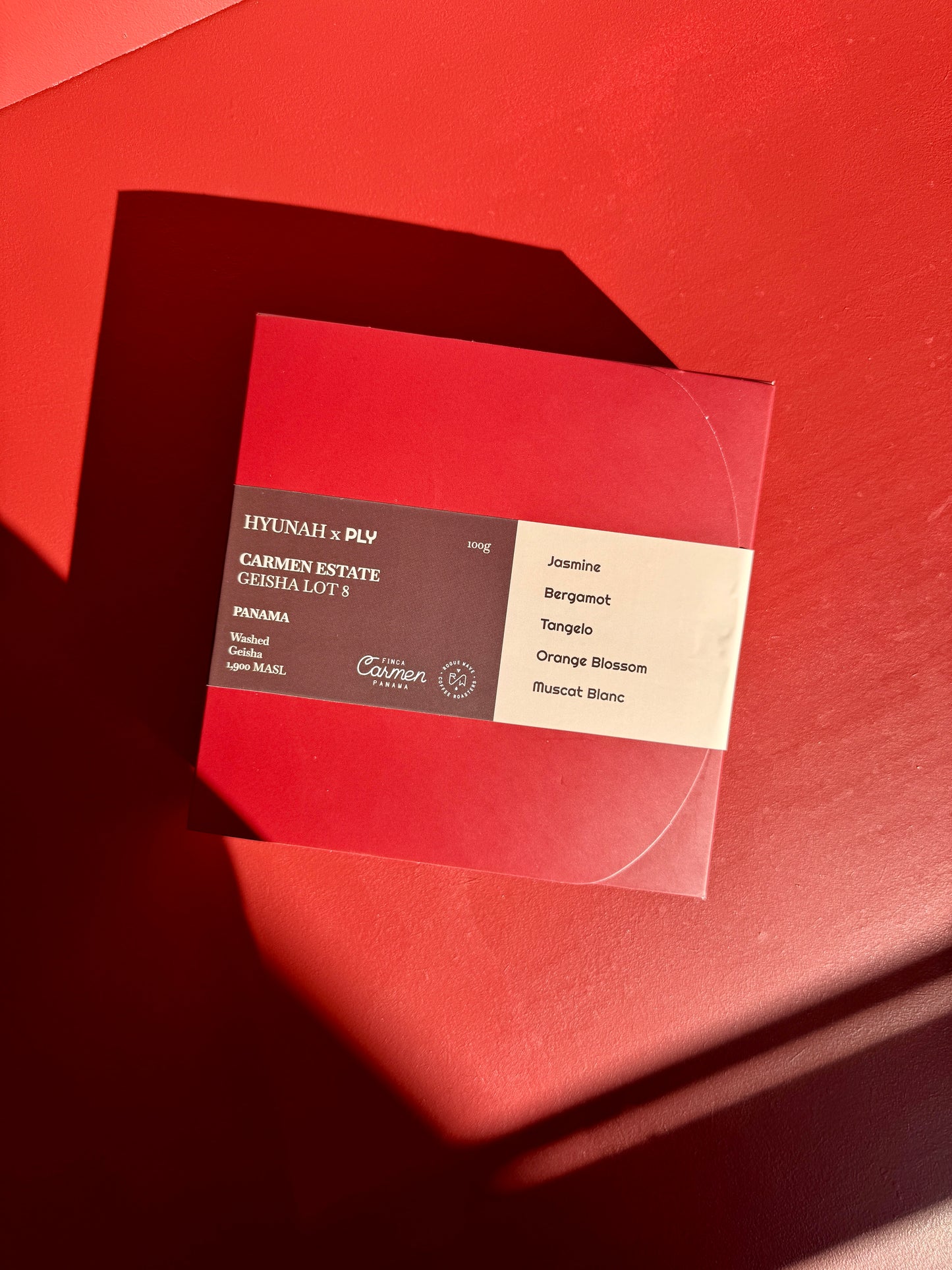 HYUNAH x PLY - CARMEN ESTATE