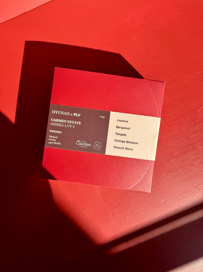 HYUNAH x PLY - CARMEN ESTATE