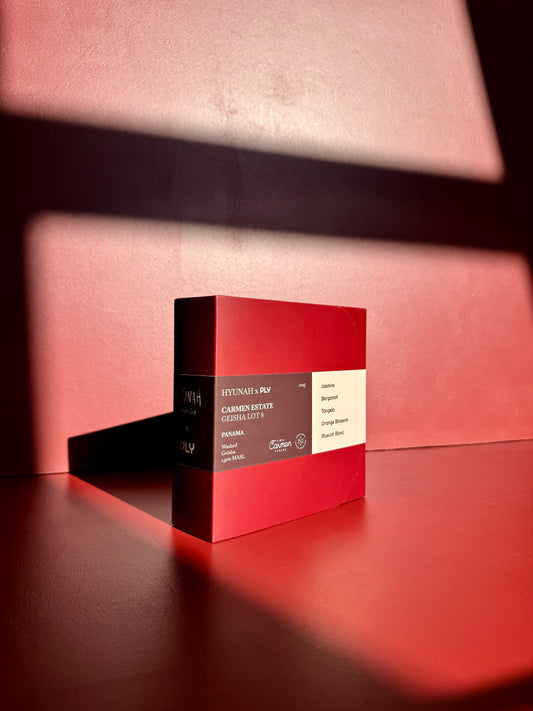 HYUNAH x PLY - CARMEN ESTATE