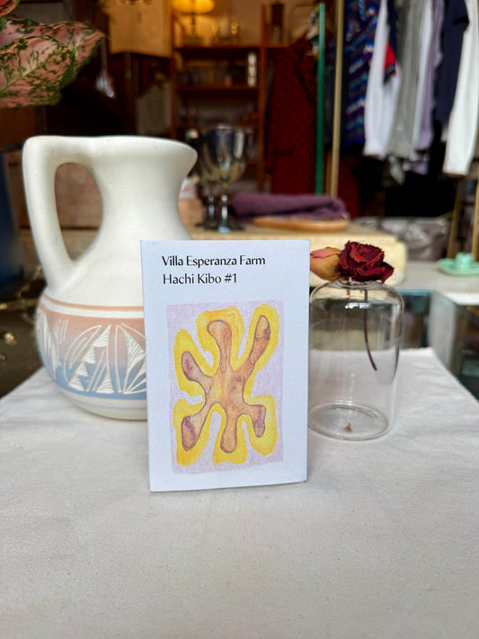 TAITH - HACHI PROJECT KIBO 1 - LOW CAF - GESHA