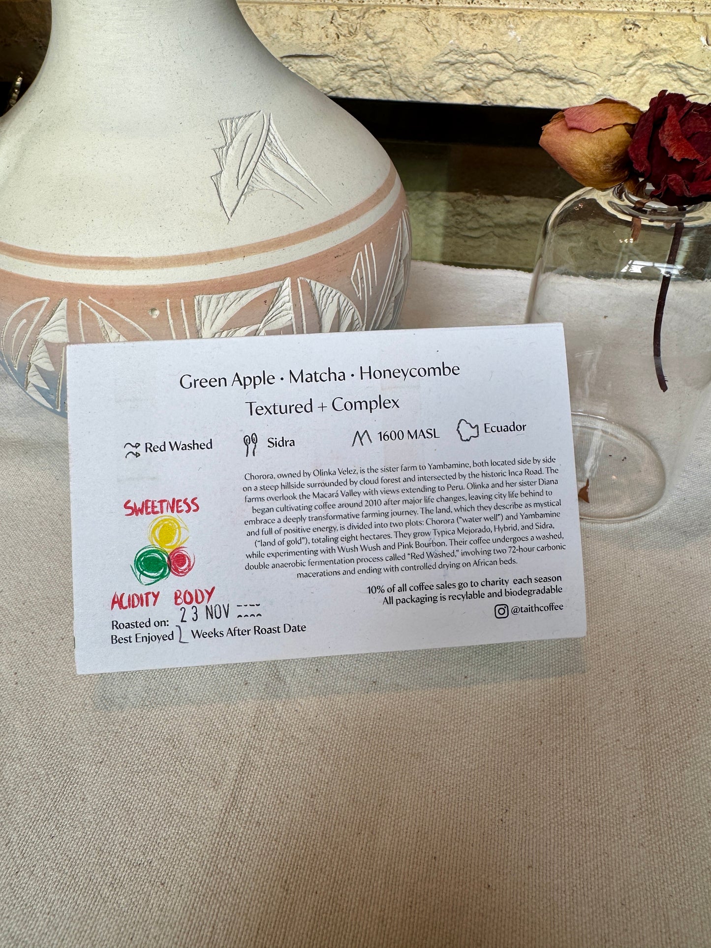 TAITH - CHORORA JUMBO SIDRA - RED WASHED