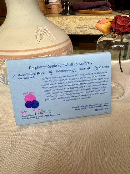 TAITH - SEBASTIAN RAMIREZ - HONEY THERMAL SHOCK - PINK BOURBON