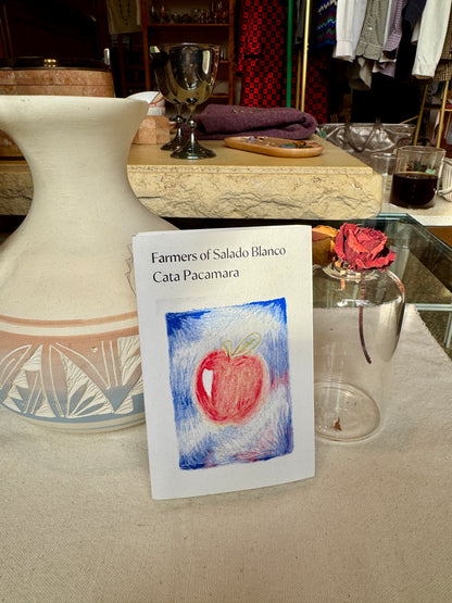 TAITH - CATA PACAMARA - WASHED