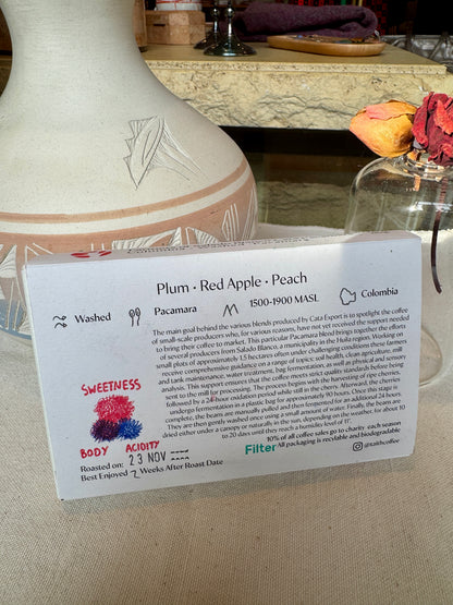 TAITH - CATA PACAMARA - WASHED