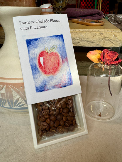 TAITH - CATA PACAMARA - WASHED