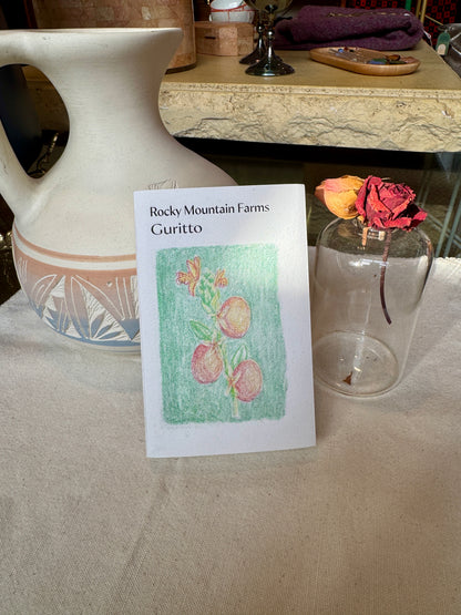 TAITH - HACHI GURITTO - SYMBIOTIC PROCESS - PARAINEMA