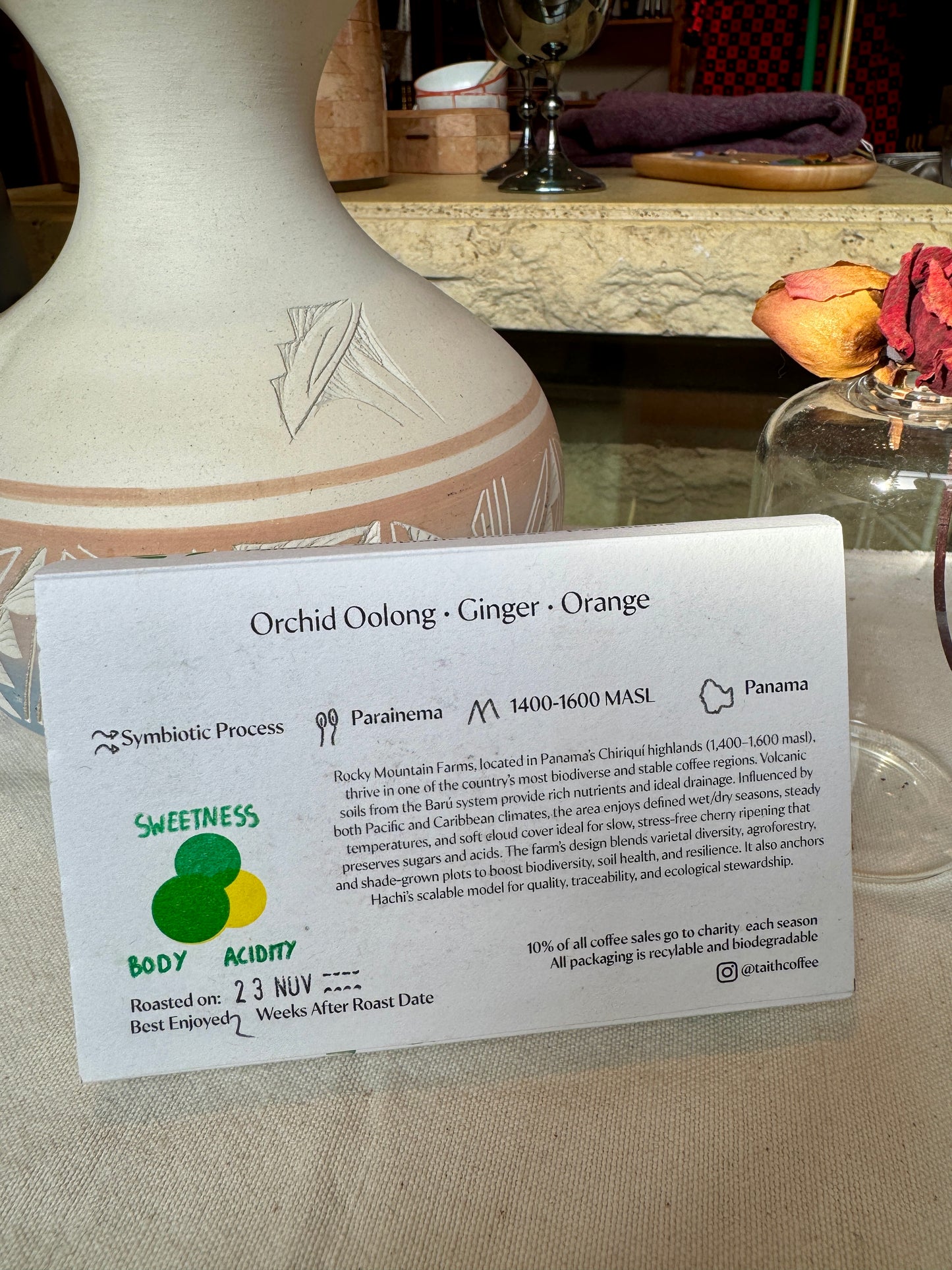 TAITH - HACHI GURITTO - SYMBIOTIC PROCESS - PARAINEMA