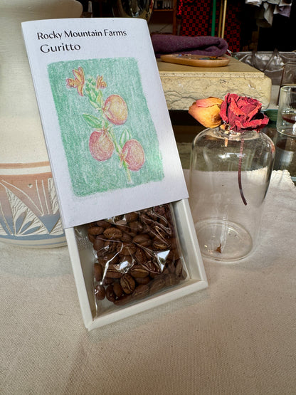 TAITH - HACHI GURITTO - SYMBIOTIC PROCESS - PARAINEMA