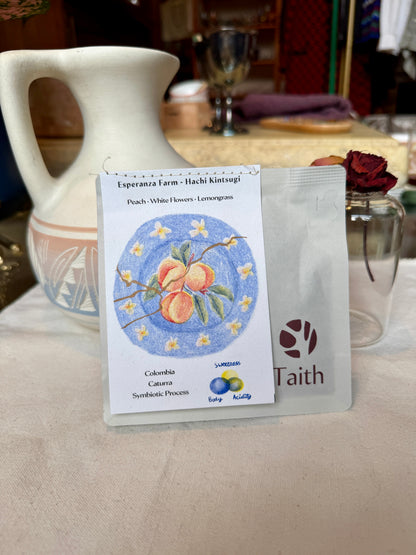 TAITH - HACHI KINTSUGI - SYMBIOTIC PROCESS - CATURRA