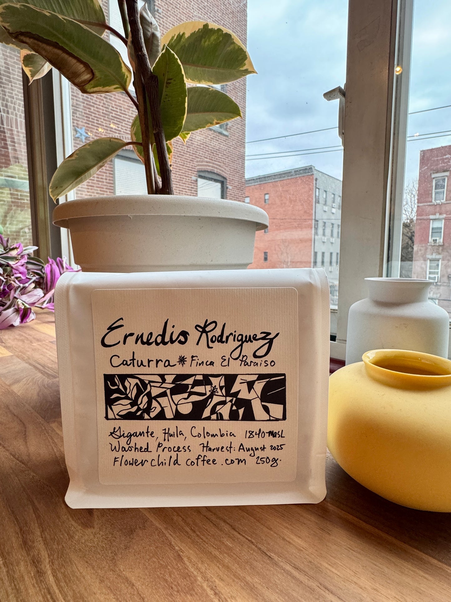 FLOWER CHILD - EL PARAISO CATURRA