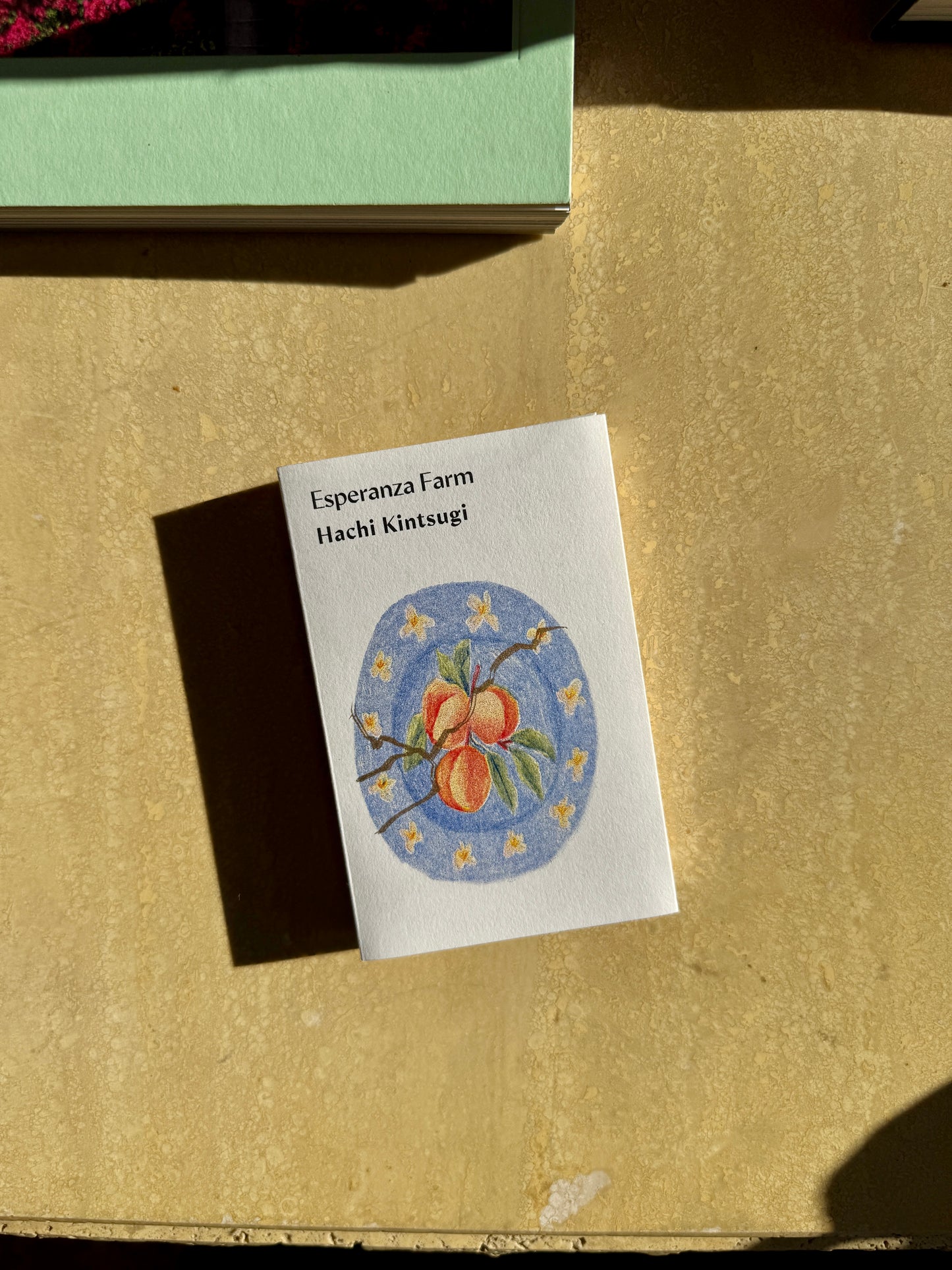 HACHI KINTSUGI - CATURRA, SYMBIOTIC PROCESS - COLOMBIA