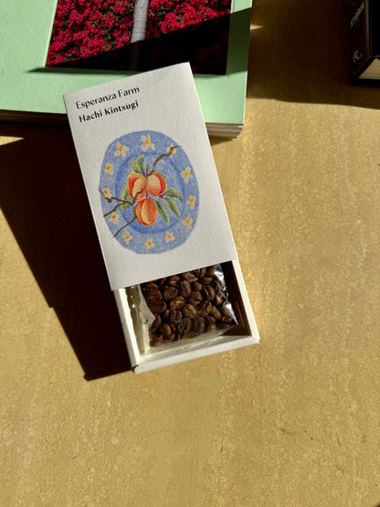 HACHI KINTSUGI - CATURRA, SYMBIOTIC PROCESS - COLOMBIA