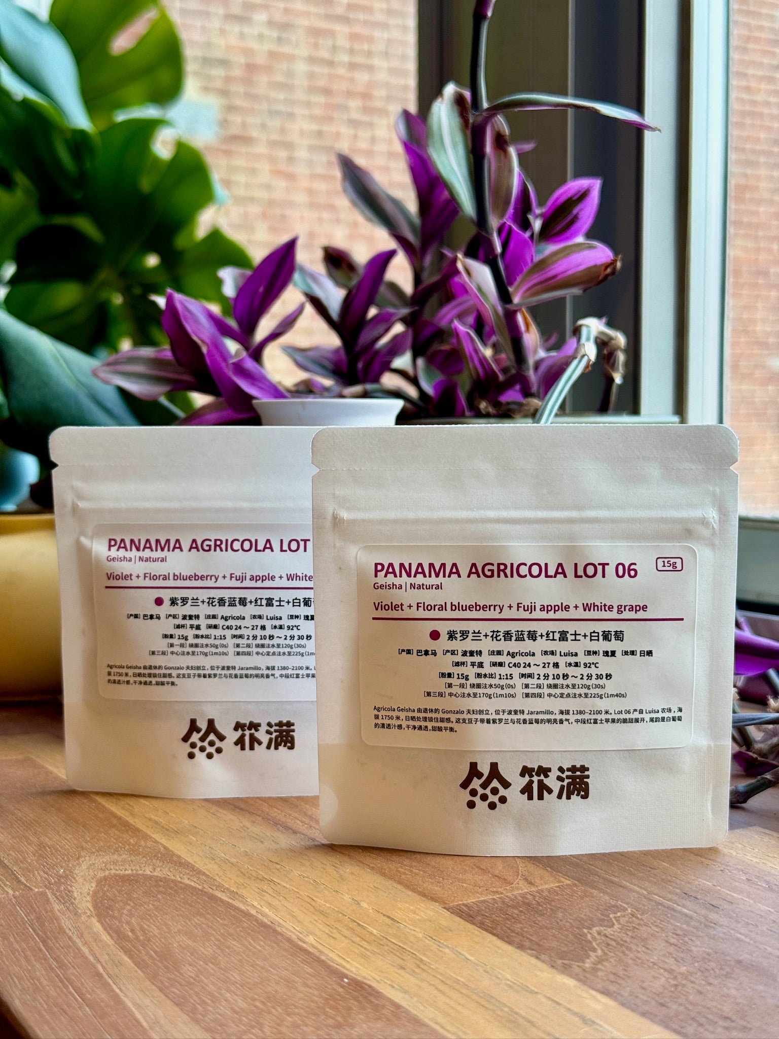 Puman-AgricolaLot06-Geisha-Natural_1