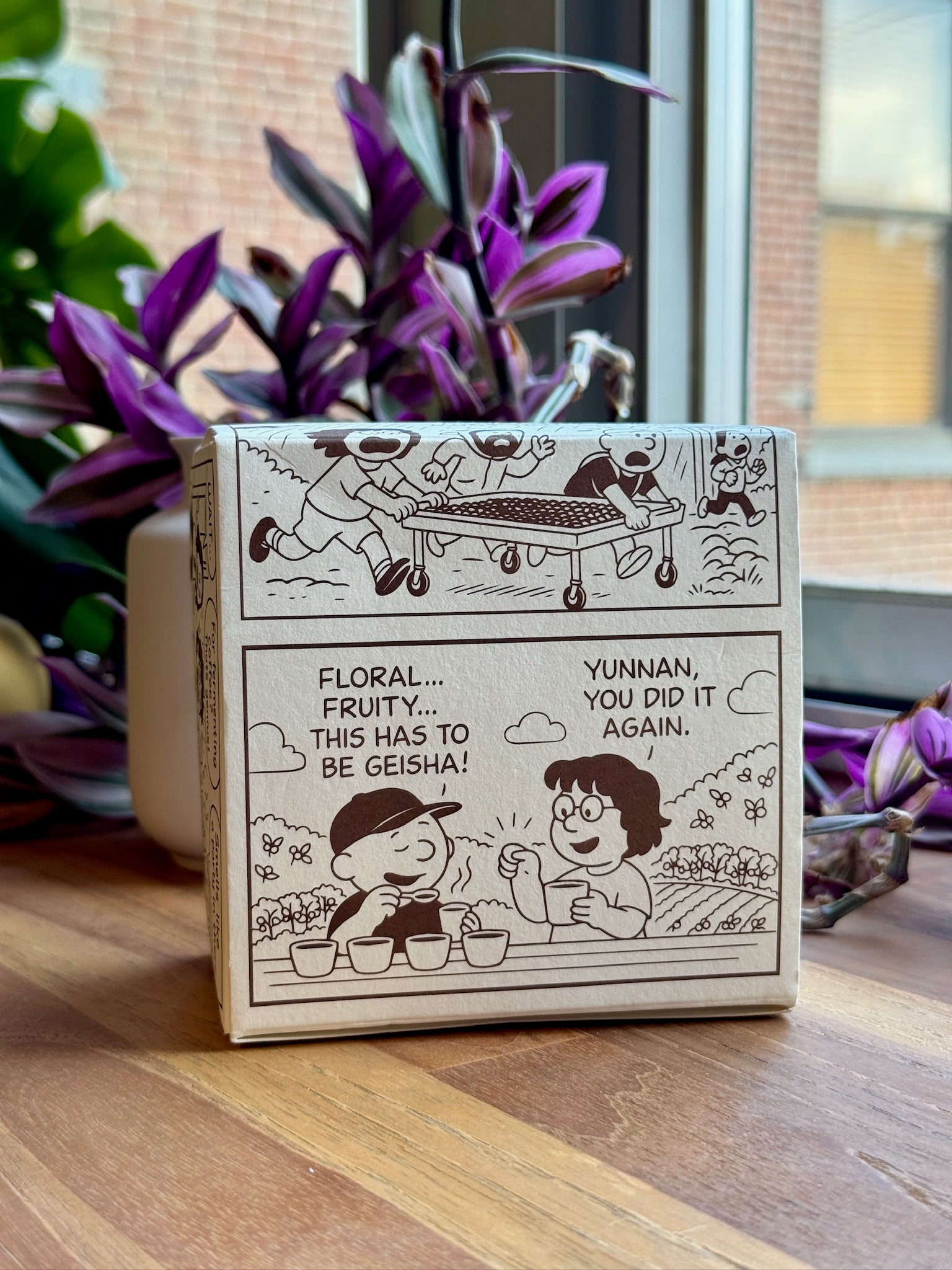 Puman-YunnanDWSet-Catimor-GiftBox_1