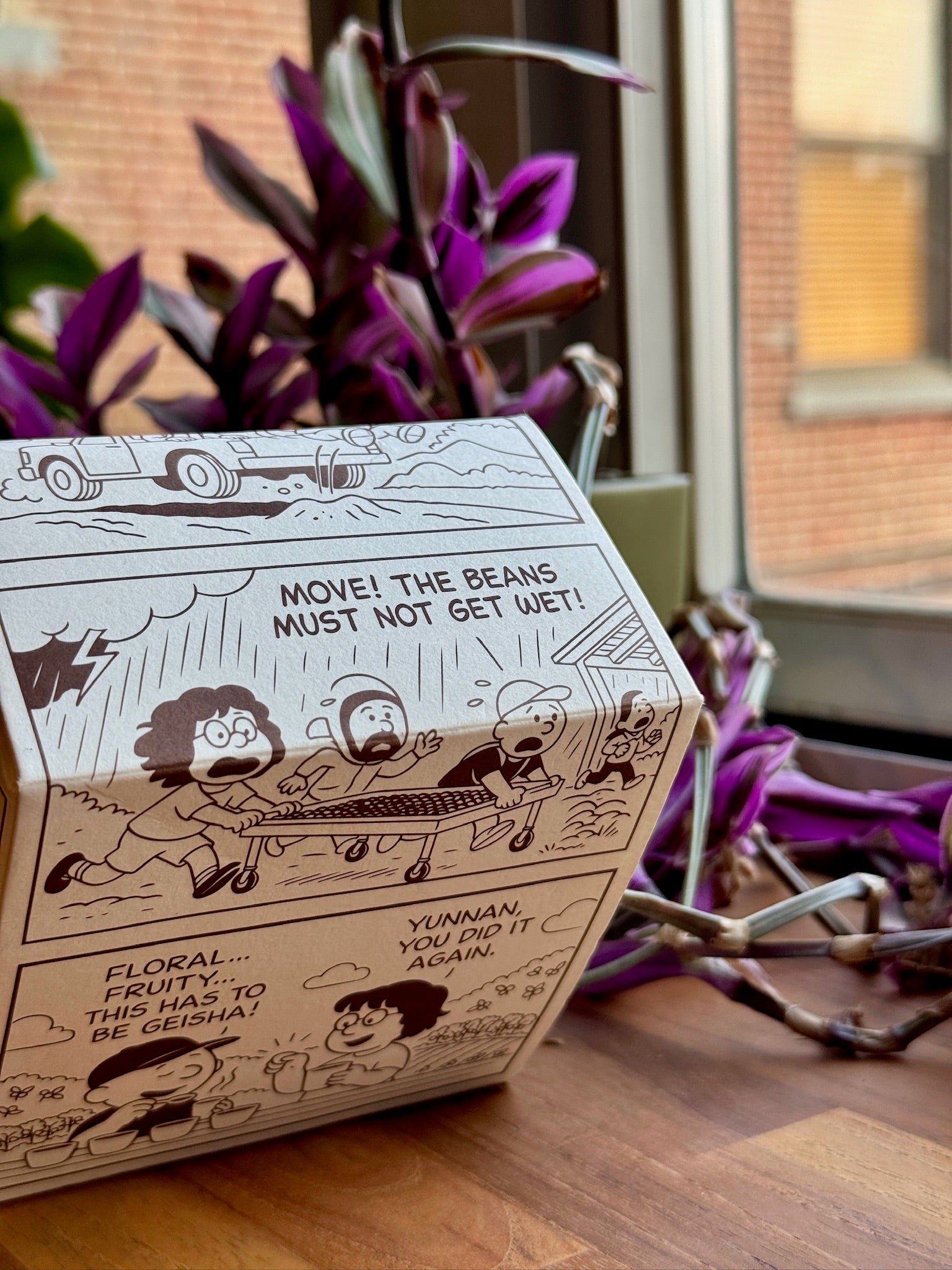 Puman-YunnanDWSet-Catimor-GiftBox_3