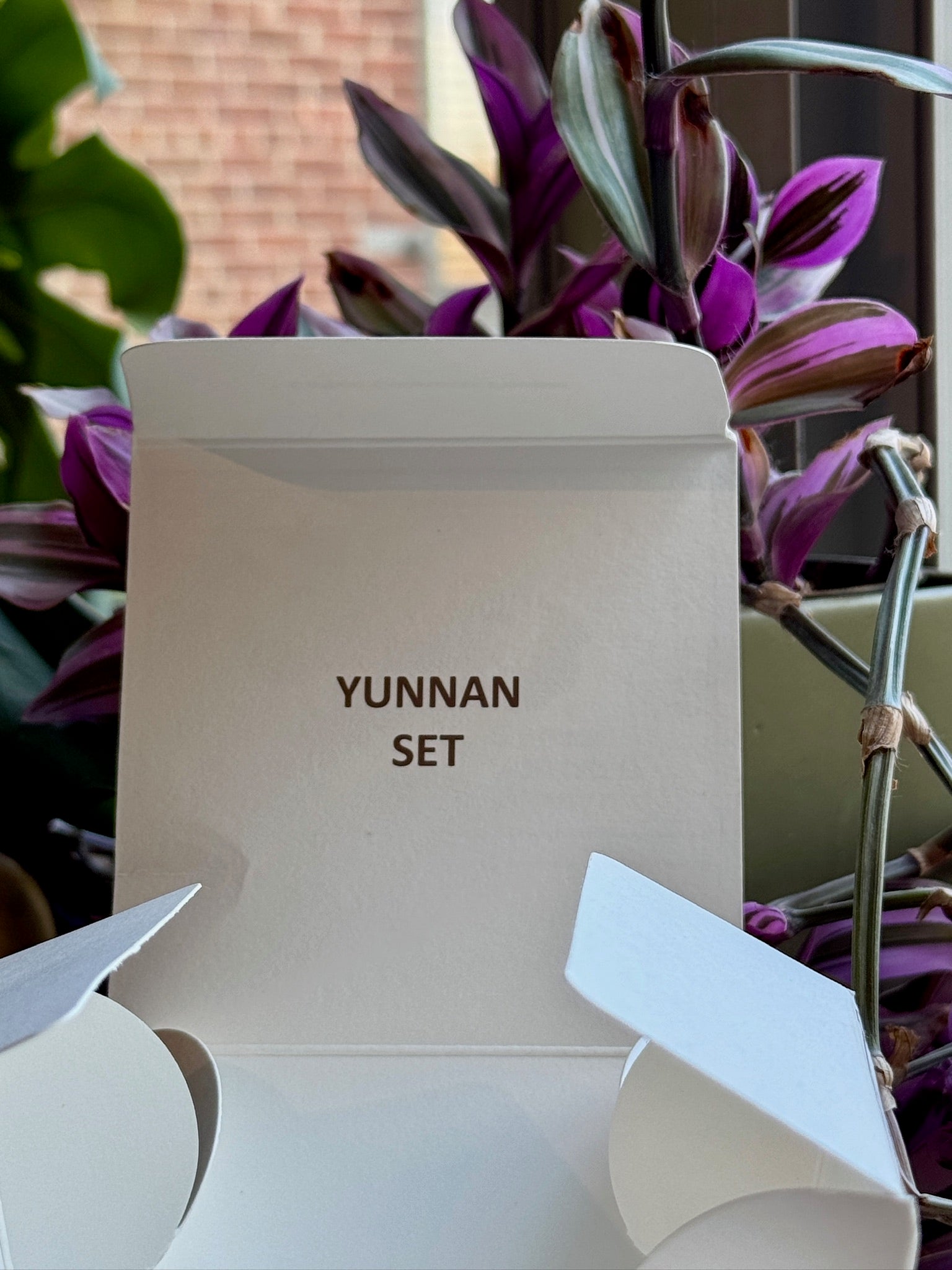 Puman-YunnanDWSet-Catimor-Washed_1