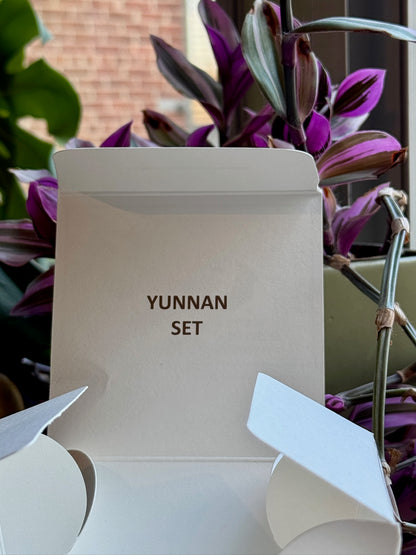 Puman-YunnanDWSet-Catimor-Washed_1