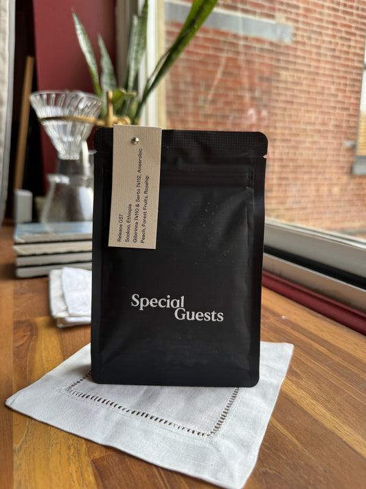 SPECIAL GUESTS - RELEASE 037 – SOOKOO, GIBIRINNA 74110 & SERTO 74112 ANAEROBIC