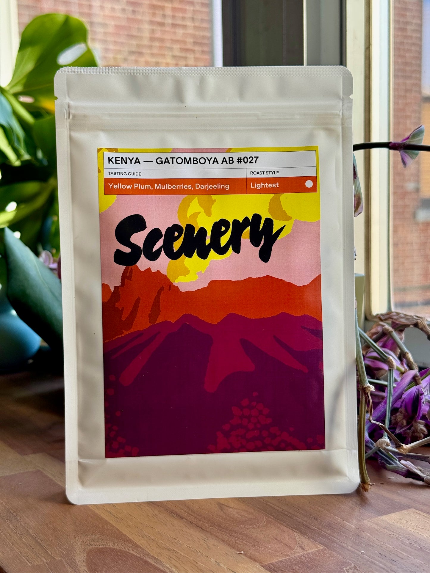 GATOMBOYA AB #027 [25/26] - SL-28, SL-34, BATIAN & RUIRU 11, TRADITIONAL WASHED - KENYA