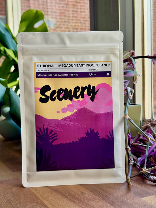 MEGADU "BLANC" LOT-B - WILD GUJI LANDRACE, 74112 & 74158, YEAST INOCULATED ANOXIC NATURAL - ETHIOPIA
