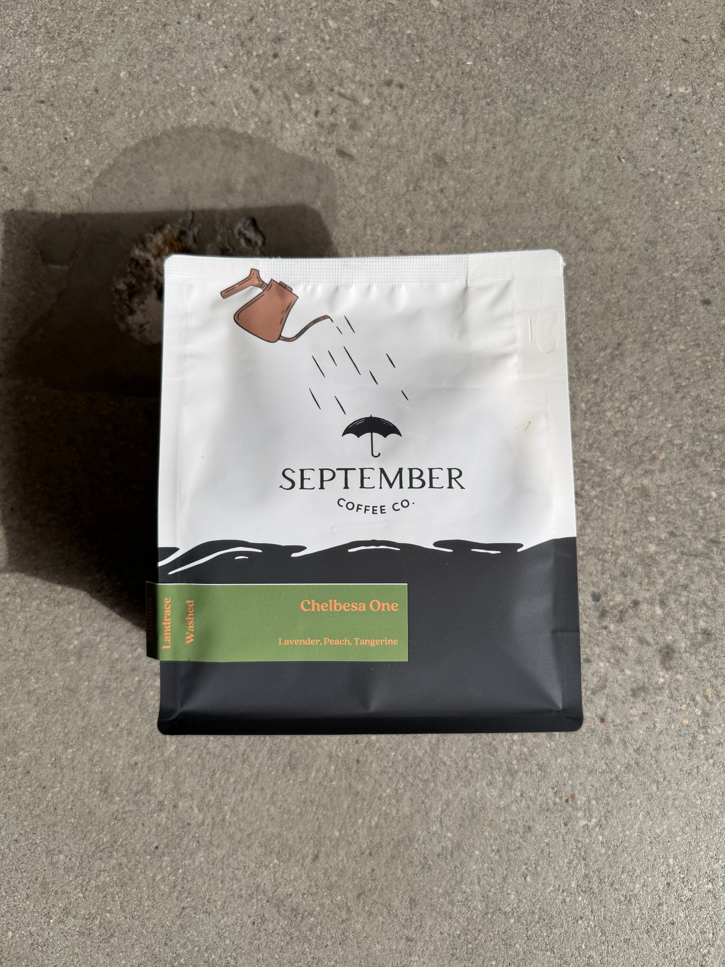 CHELBESA ONE - LANDRACE, WASHED - ETHIOPIA