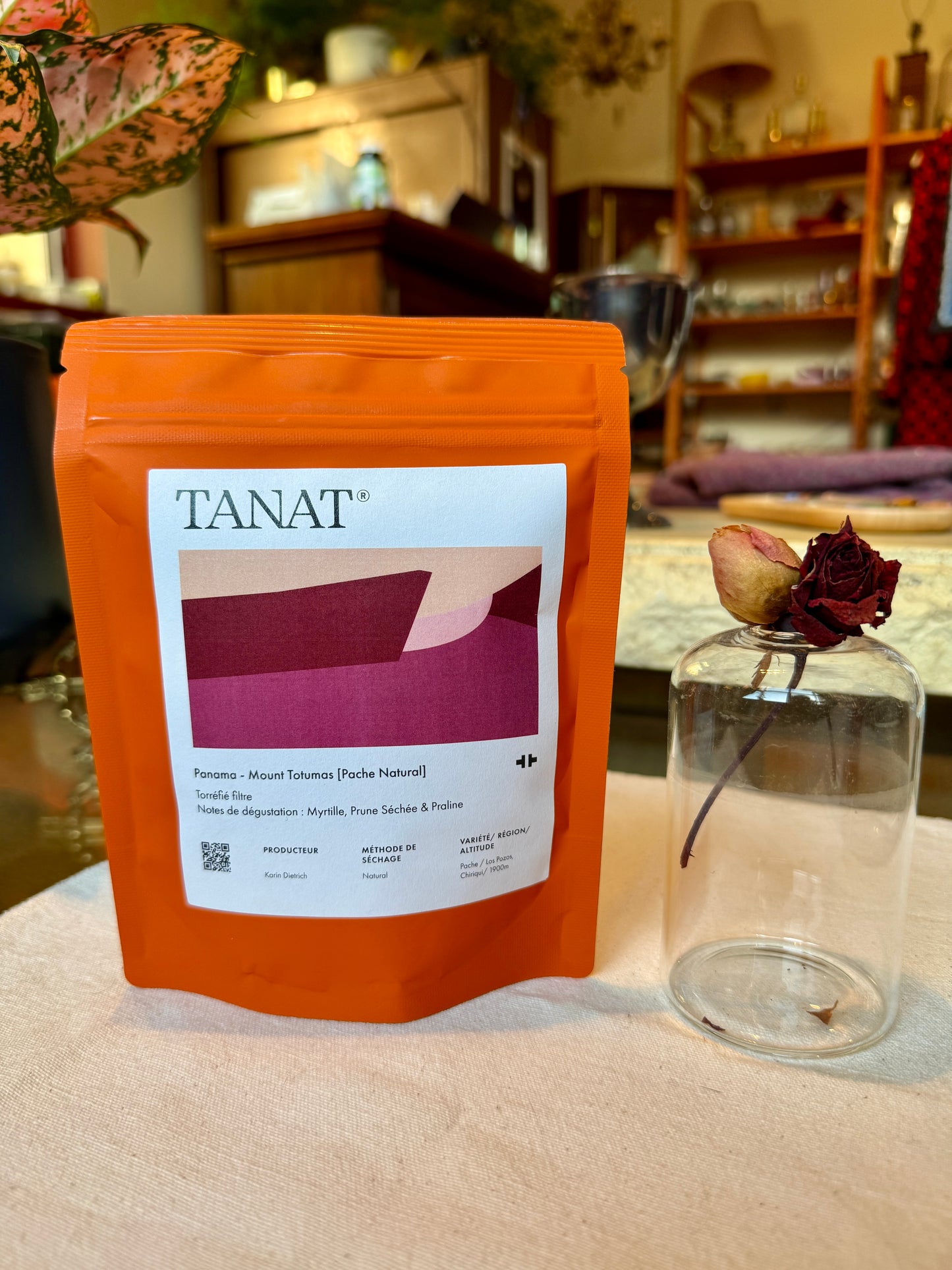 TANAT - MOUNT TOTUMAS - PACHE NATURAL