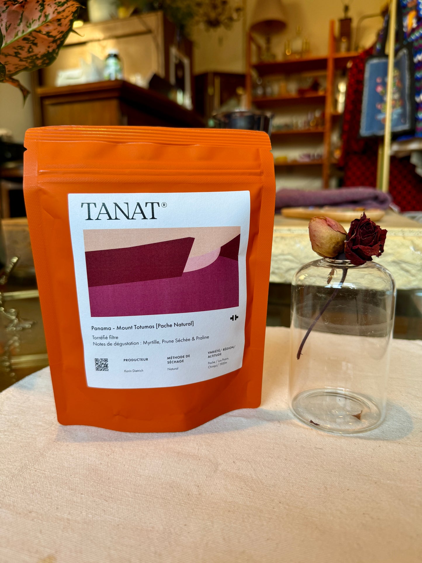 TANAT - MOUNT TOTUMAS - PACHE NATURAL