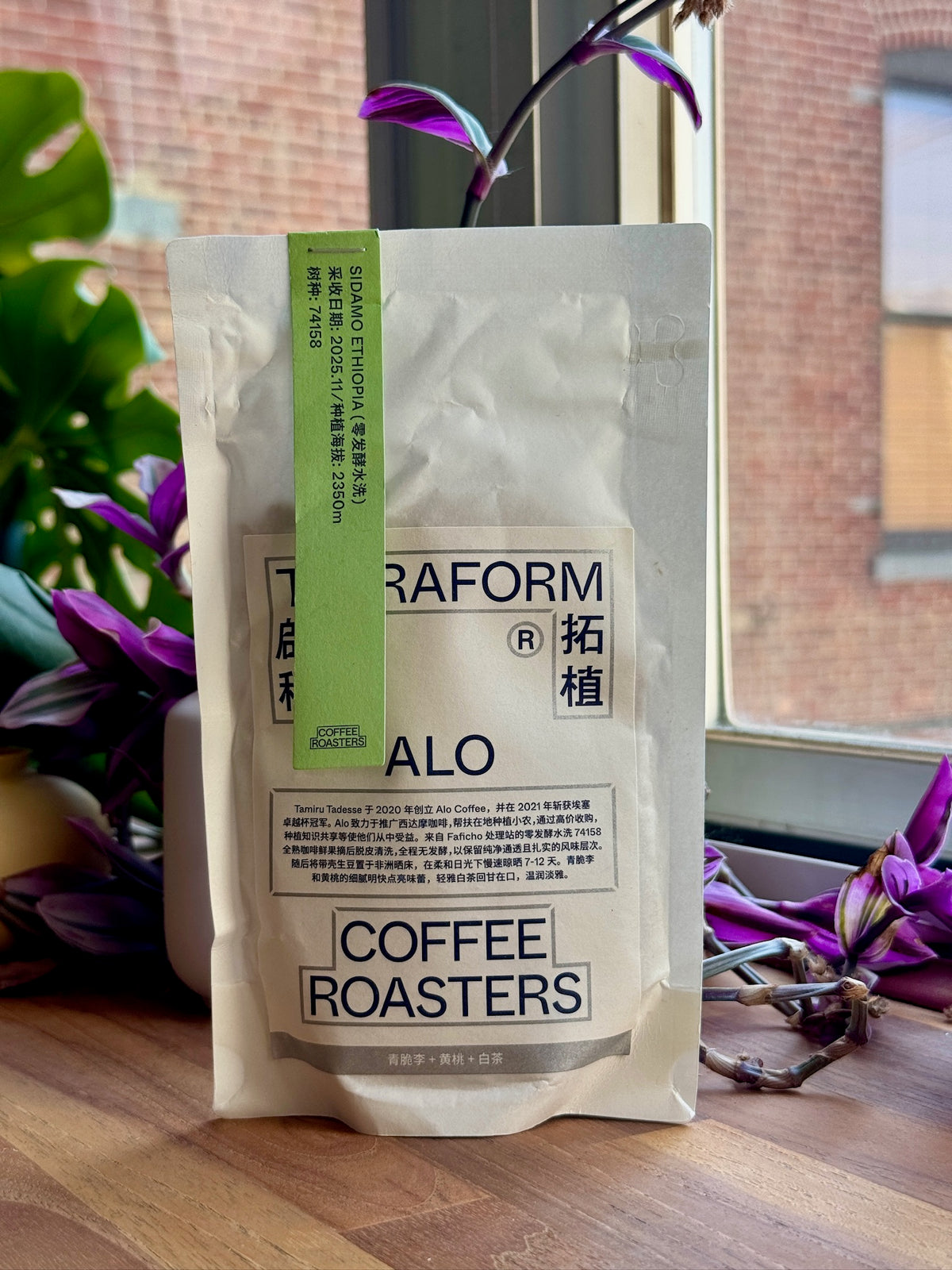 ALO FAFICHO - 74158, ZERO FERMENTATION WASHED - ETHIOPIA