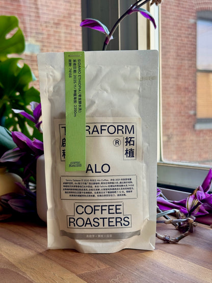 ALO FAFICHO - 74158, ZERO FERMENTATION WASHED - ETHIOPIA