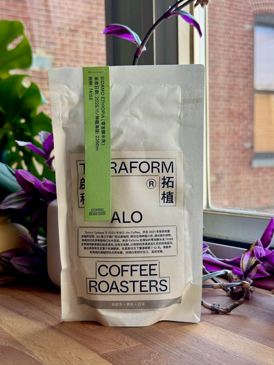 ALO FAFICHO - 74158, ZERO FERMENTATION WASHED - ETHIOPIA