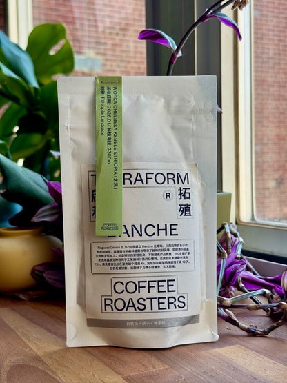 DANCHE - ETHIOPIAN LANDRACE, WASHED - ETHIOPIA