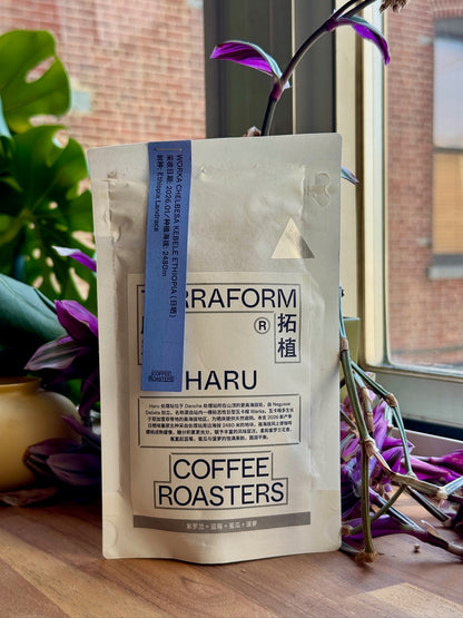 HARU – ETHIOPIAN LANDRACE, NATURAL - ETHIOPIA