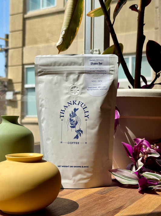 DANCHE - KURUME & DEGA, WASHED - ETHIOPIA