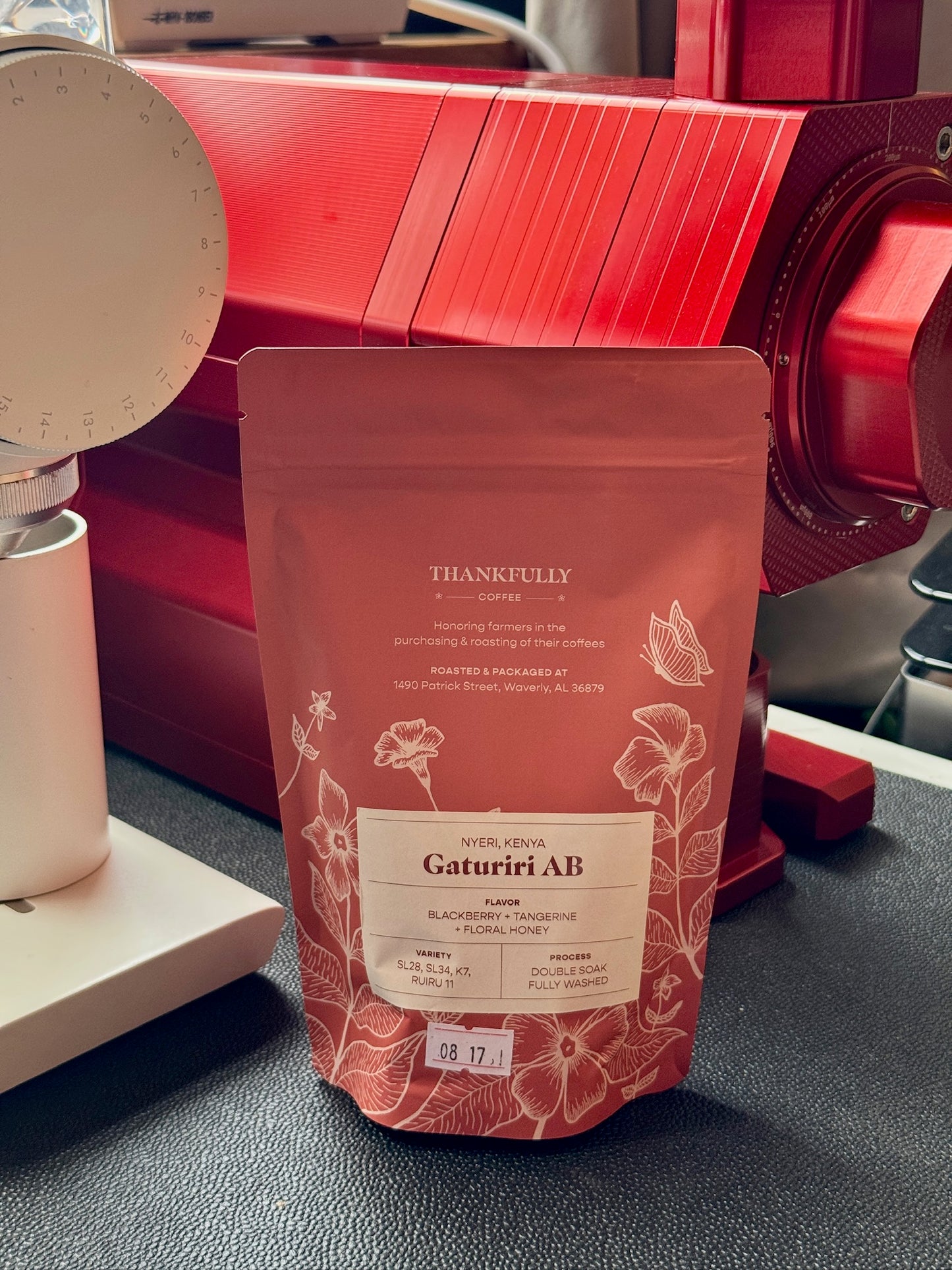 GATURIRI AB - SL28, SL34, K7 & RUIRU 11, WASHED - KENYA