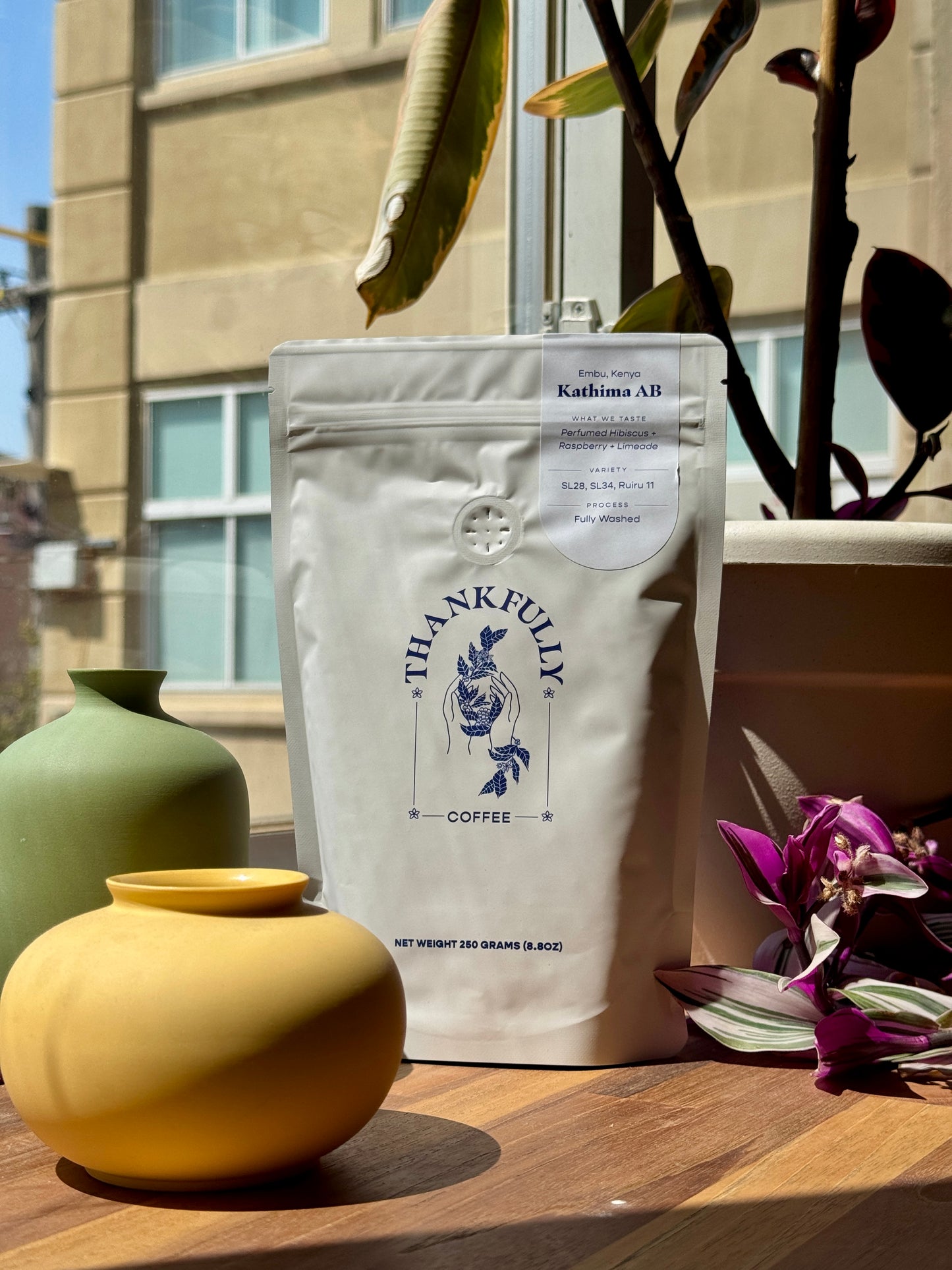 KATHIMA AB - SL28, SL34, RUIRU 11, WASHED - KENYA