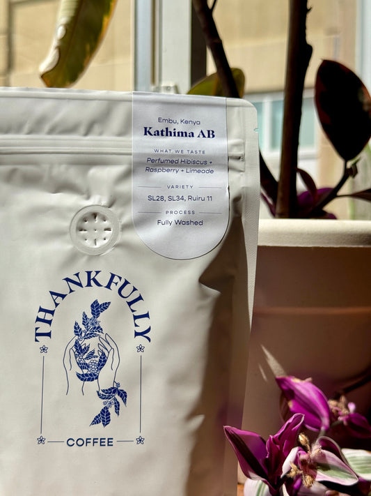 KATHIMA AB - SL28, SL34, RUIRU 11, WASHED - KENYA