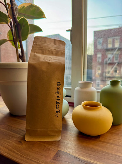 THOUGHTFULCOFFEE - GRANJA PARAISO 92 – ADVANCED PROCESSING SL28