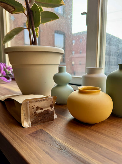 THOUGHTFULCOFFEE - HACIENDA LA ESMERALDA EL VELO – NATURAL GESHA