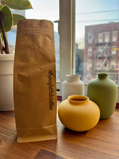 THOUGHTFULCOFFEE - HACIENDA LA ESMERALDA EL VELO – NATURAL GESHA