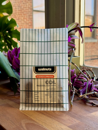 EL SILENCIO OMBLIGON - OMBLIGON, WASHED - COLOMBIA